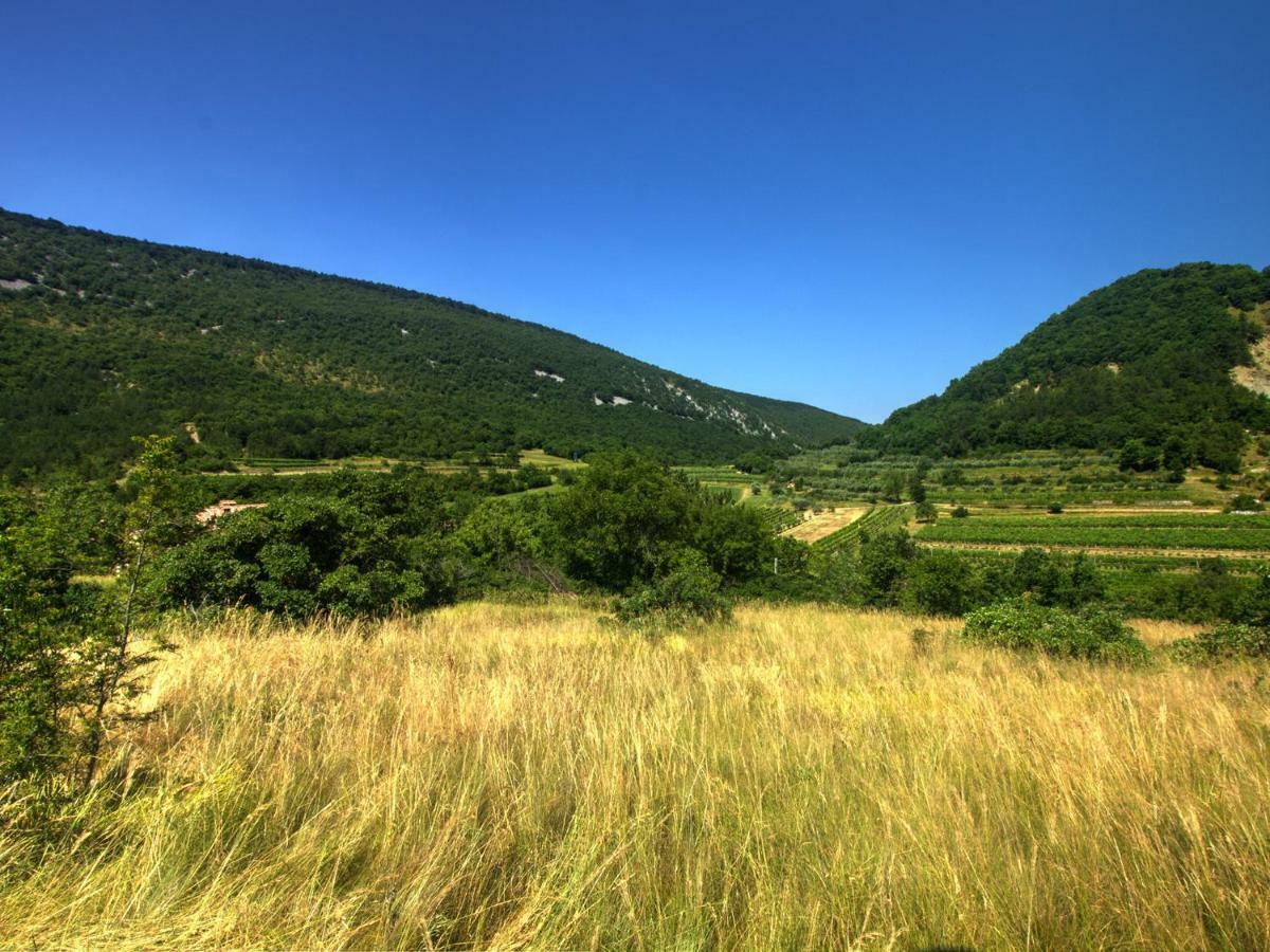 Črni Kal Family Apartment Rihter מראה חיצוני תמונה